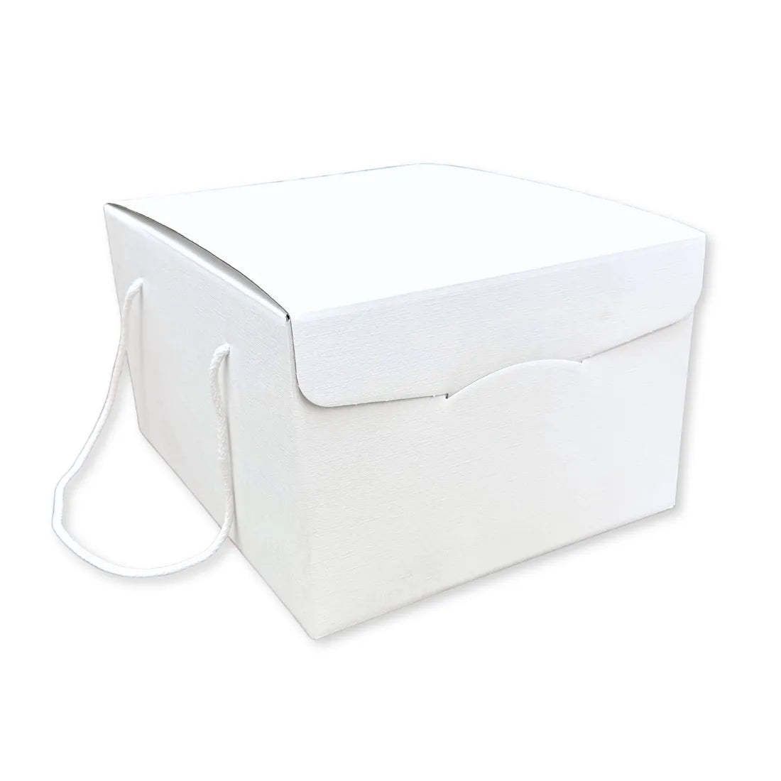 Scatola Confezione Regalo Porta Panettone + Bottiglia Linea Fibra Bianco