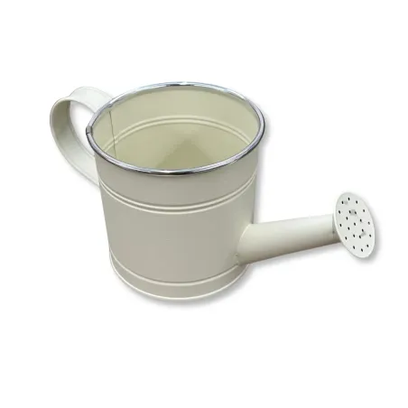 Innaffiatoio in Metallo con Maniglia Miglior Prezzo 