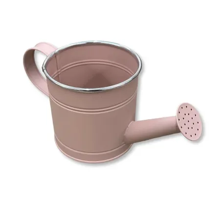 Innaffiatoio in Metallo con Maniglia Miglior Prezzo 