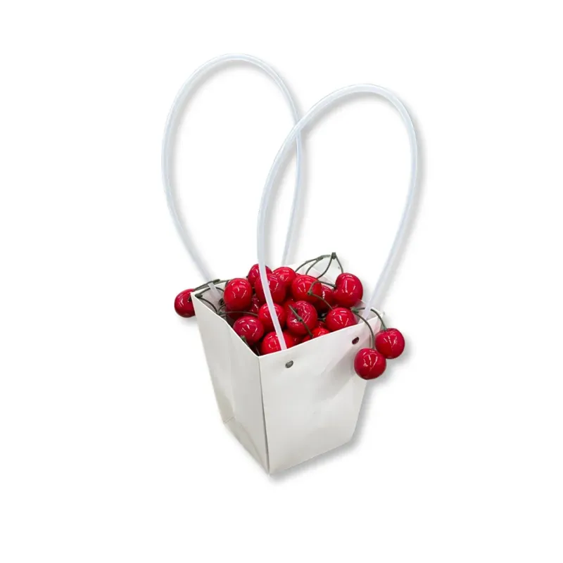 Shopper in Carta Bianca Con Loop in Plastica Miglior Prezzo 