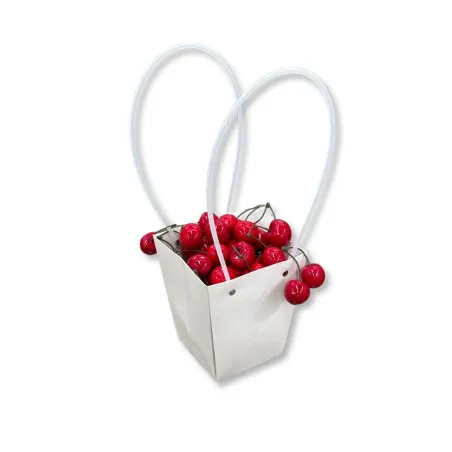 Shopper in Carta Bianca Con Loop in Plastica Miglior Prezzo 