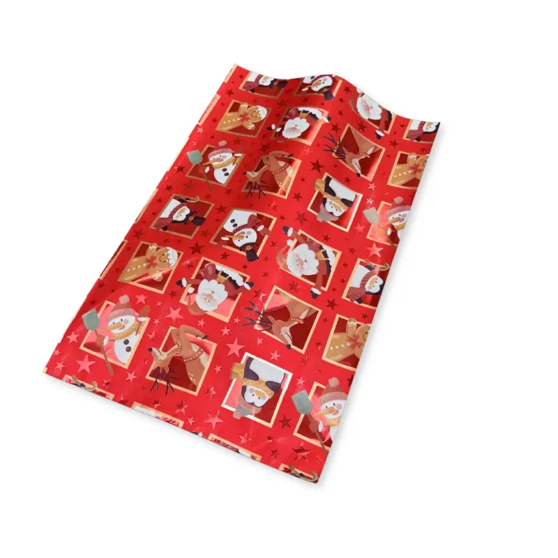 Buste Regalo Fantasia Finestrelle