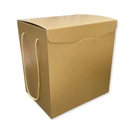 Scatola Confezione Regalo Porta Panettone + Bottiglia Linea Fibra Oro Confezione da 30 pz.