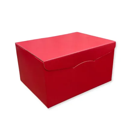 Scatola Confezione Regalo 6 Bottiglie Modello Segreto Linea Fibra Rosso Confezione da 20 pz.