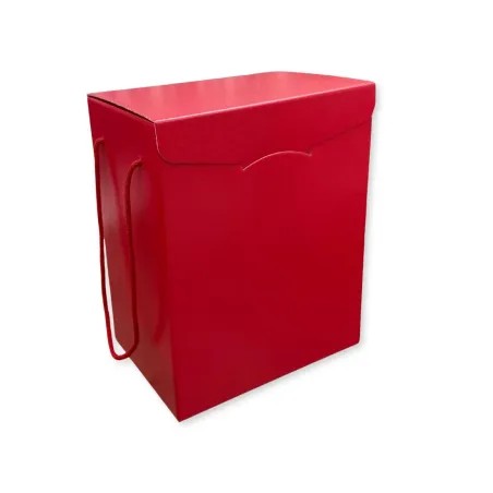 Scatola Confezione Regalo Porta Panettone + Bottiglia Linea Fibra Rosso Confezione da 30 pz.