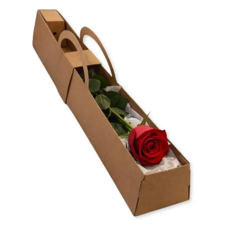 Scatola Porta Rosa Kelly Avana Confezione da 10...