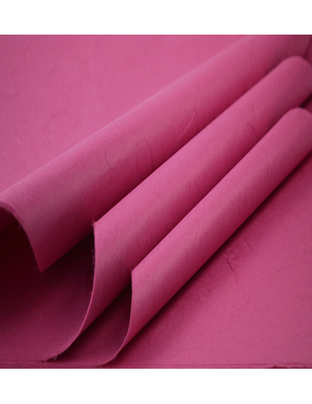 Carta Riso 25 fg Miglior Prezzo  Carta da Regalo