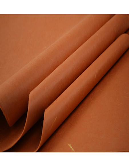 Carta Riso 25 fg Miglior Prezzo  Carta da Regalo