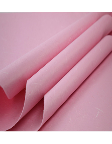 Carta Riso 25 fg Miglior Prezzo  Carta da Regalo