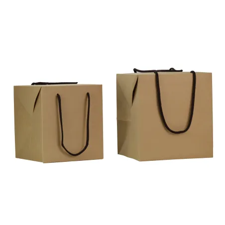 Porta Panettome Bag Box