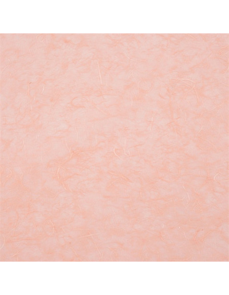 Carta Riso 25 fg Miglior Prezzo  Carta da Regalo