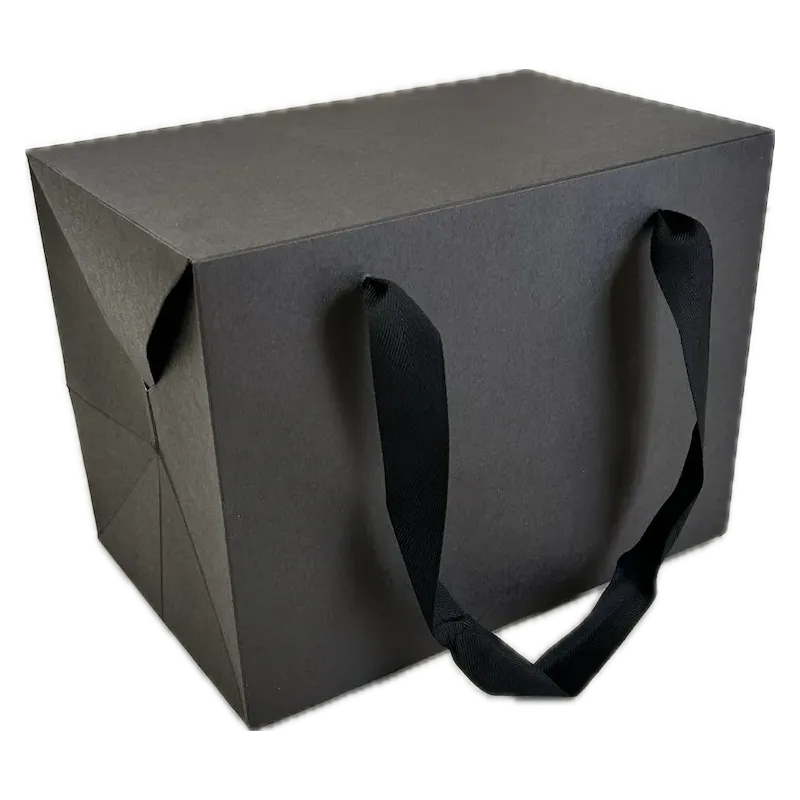 Scatola - shopper Bag Box nero Miglior Prezzo  Shoppers