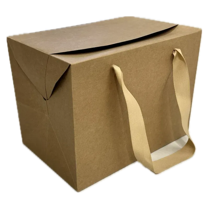 Scatola - shopper Bag Box avana Miglior Prezzo  Shoppers