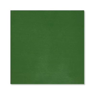 25 fogli carta regalo Verde Laccata Lucida Miglior Prezzo 