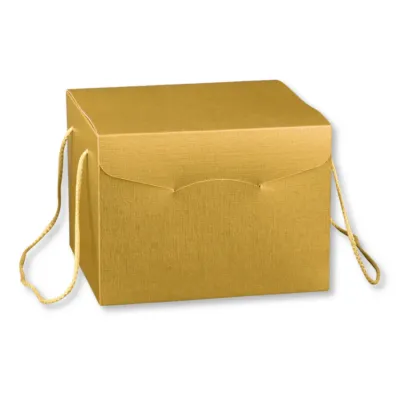 Scatola Confezione Regalo Porta Panettone + bottiglia linea