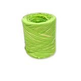 Nastro Raphia Bicolor Light