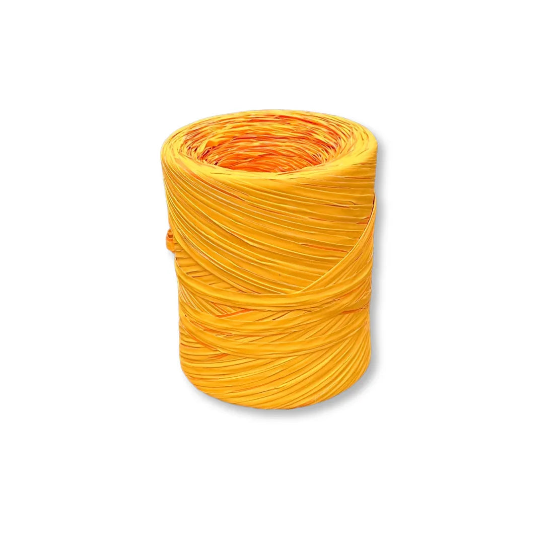 Nastro Raphia Bicolor Light
