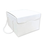 Scatola Confezione Regalo Porta Panettone + Bottiglia Linea Fibra Bianco
