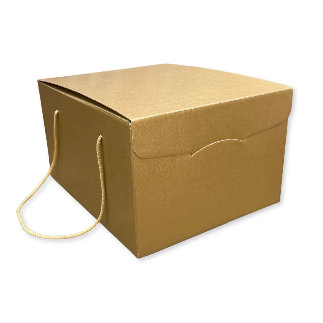 Scatola Confezione Regalo Porta Panettone + Bottiglia Linea Fibra Oro