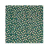 25 Fogli Carta Regalo Mini Stars Green