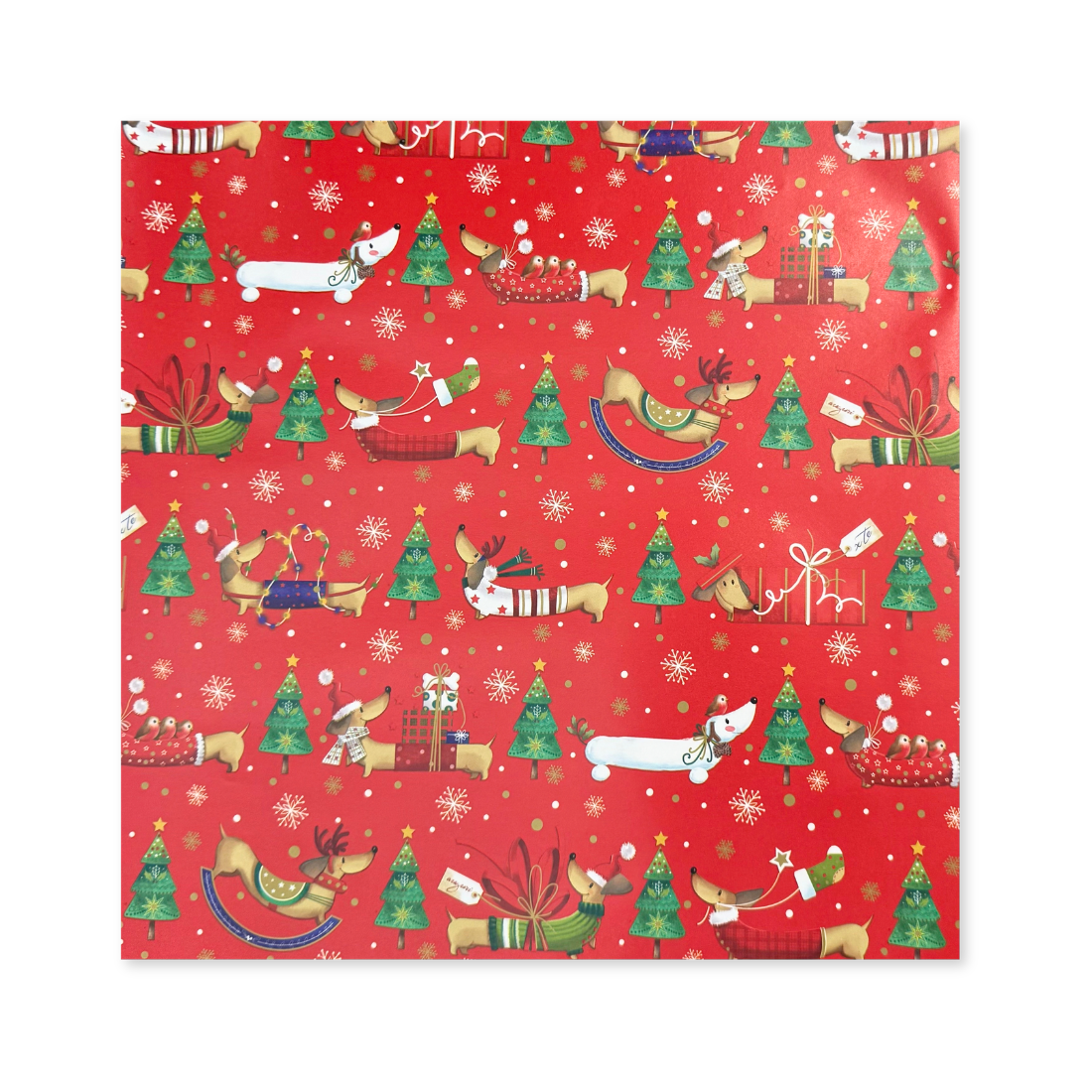 25 Fogli Carta Regalo Bassotto