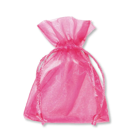 Sacchetto in Organza