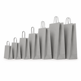 Shopper in Carta Maniglia Ritorta Linea Rainbow Grigia