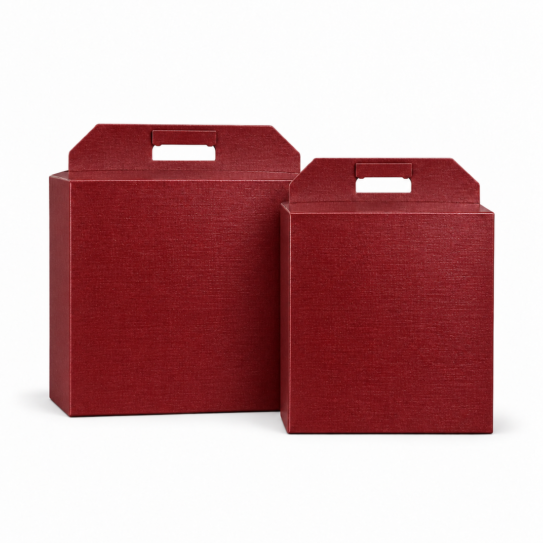 Scatola Porta Panettone + Bottiglia Linea Fibra Bordeaux